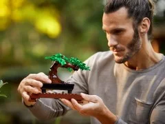 Bonsai Tree - View 3