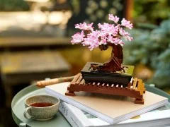 Bonsai Tree - View 5