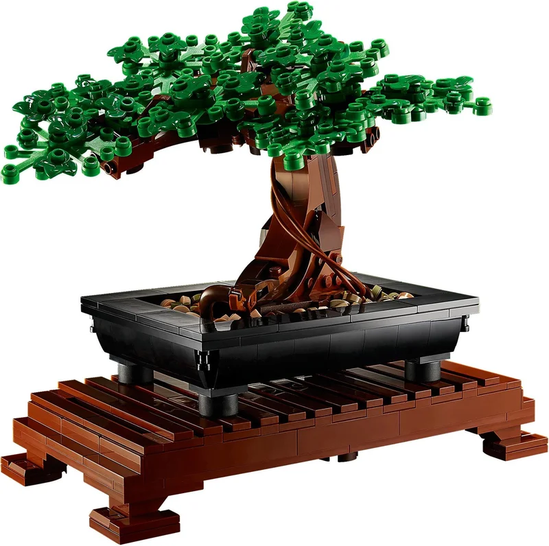 Bonsai Tree - View 6