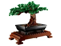 Bonsai Tree - View 6