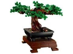 Bonsai Tree - View 7