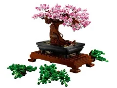 Bonsai Tree - View 8