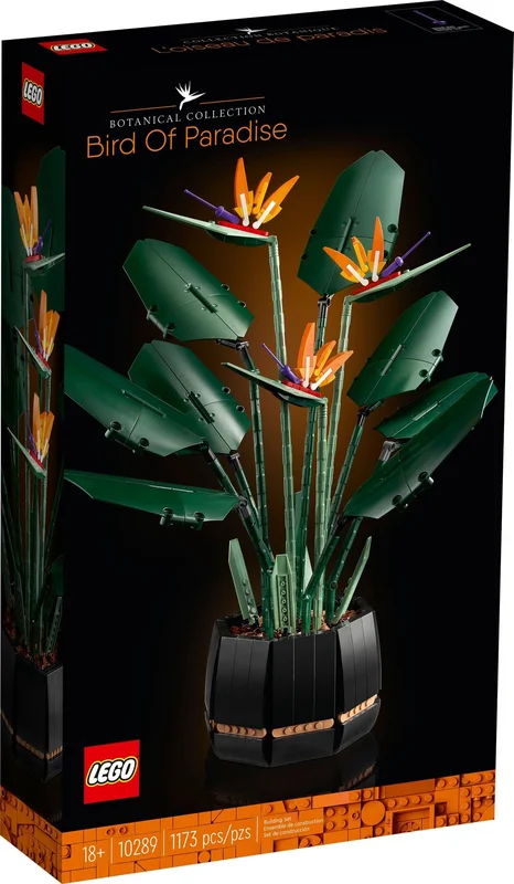 Bird of Paradise - View 2