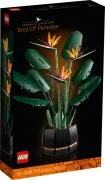Bird of Paradise - View 2