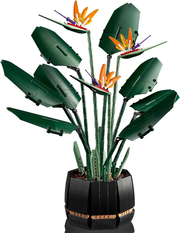 Bird of Paradise - View 8