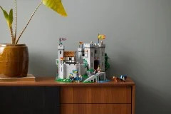 Lion Knights' Castle - View 8