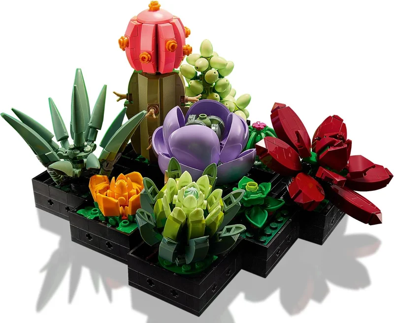 Succulents - View 3