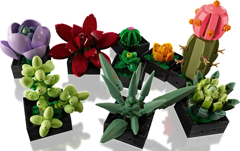 Succulents - View 5