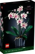 Orchid - View 2