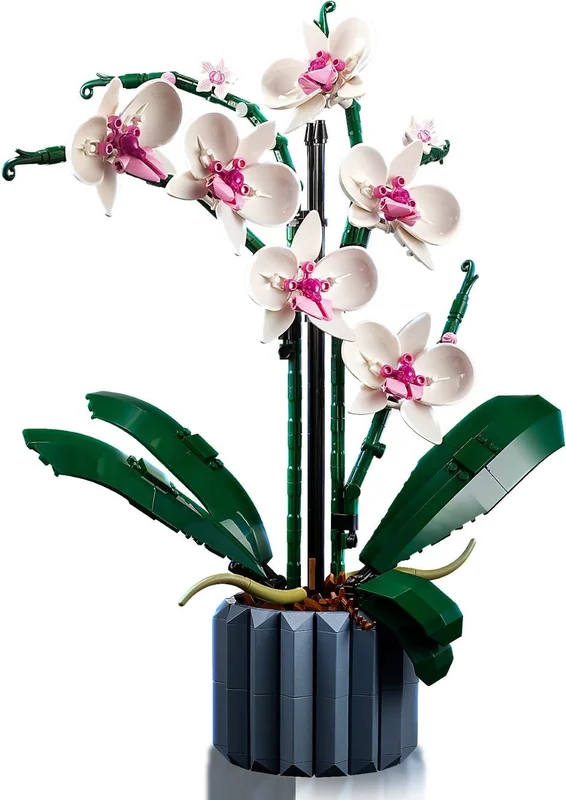 Orchid - View 3