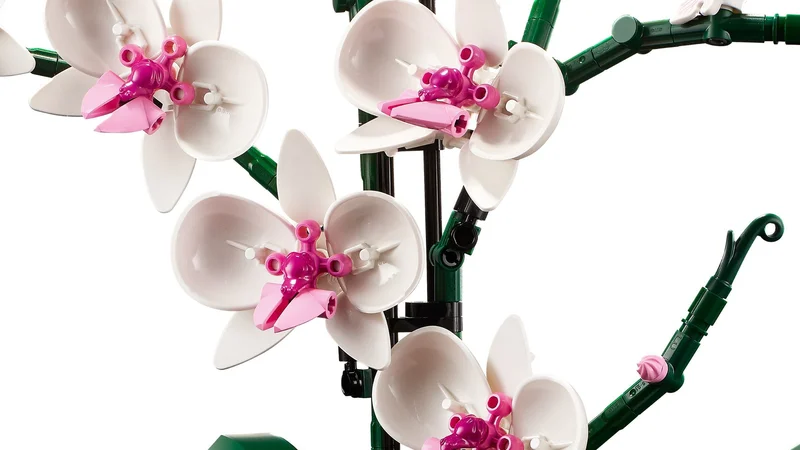 Orchid - View 4