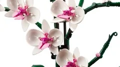 Orchid - View 4