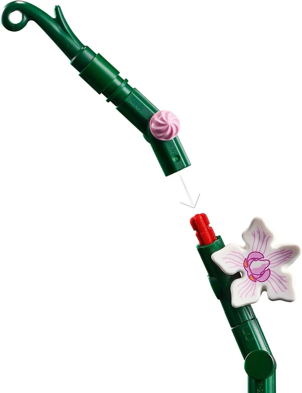 Orchid - View 5