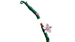 Orchid - View 5
