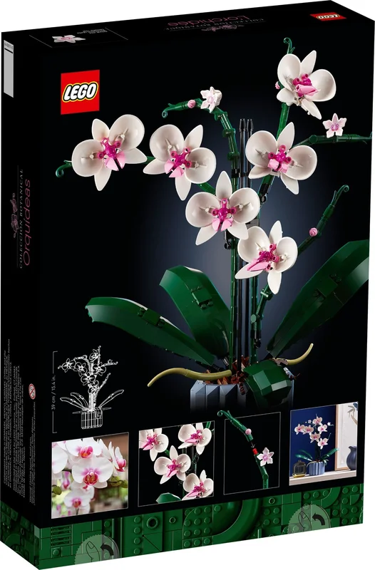 Orchid - View 6