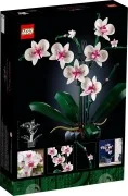 Orchid - View 6