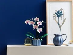 Orchid - View 8