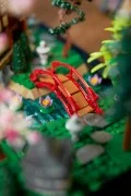Tranquil Garden - View 7