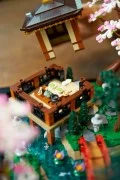 Tranquil Garden - View 8