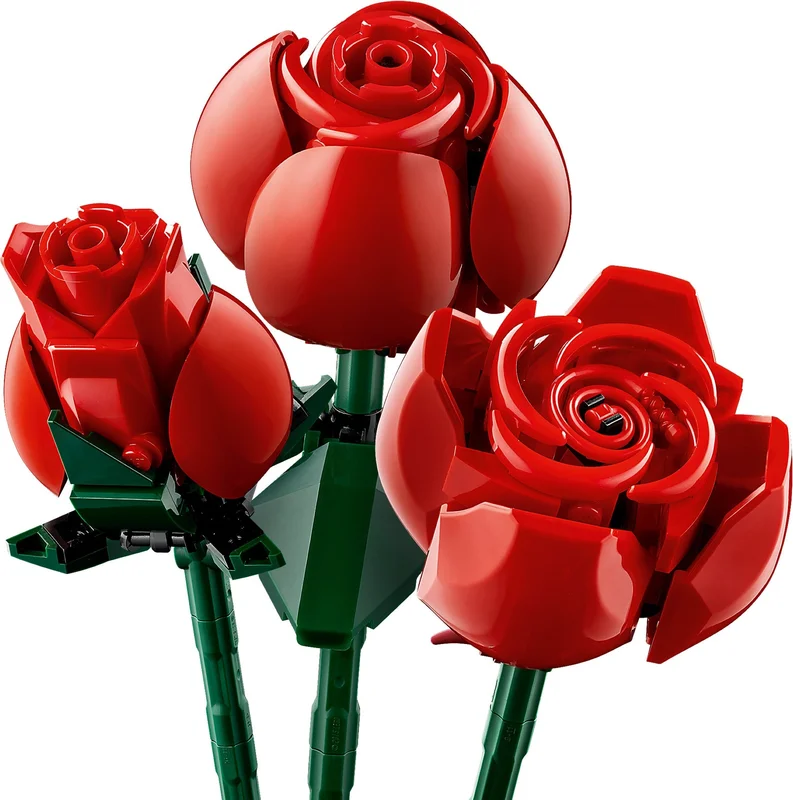 Bouquet of Roses - View 4