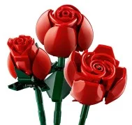 Bouquet of Roses - View 4