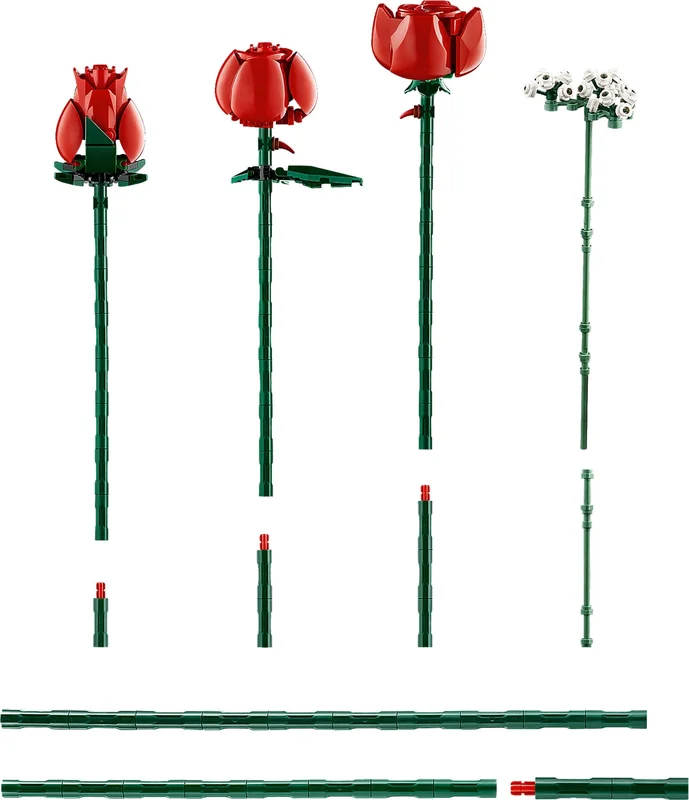 Bouquet of Roses - View 5