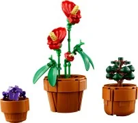Tiny Plants - View 4