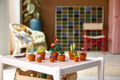 Tiny Plants - View 8
