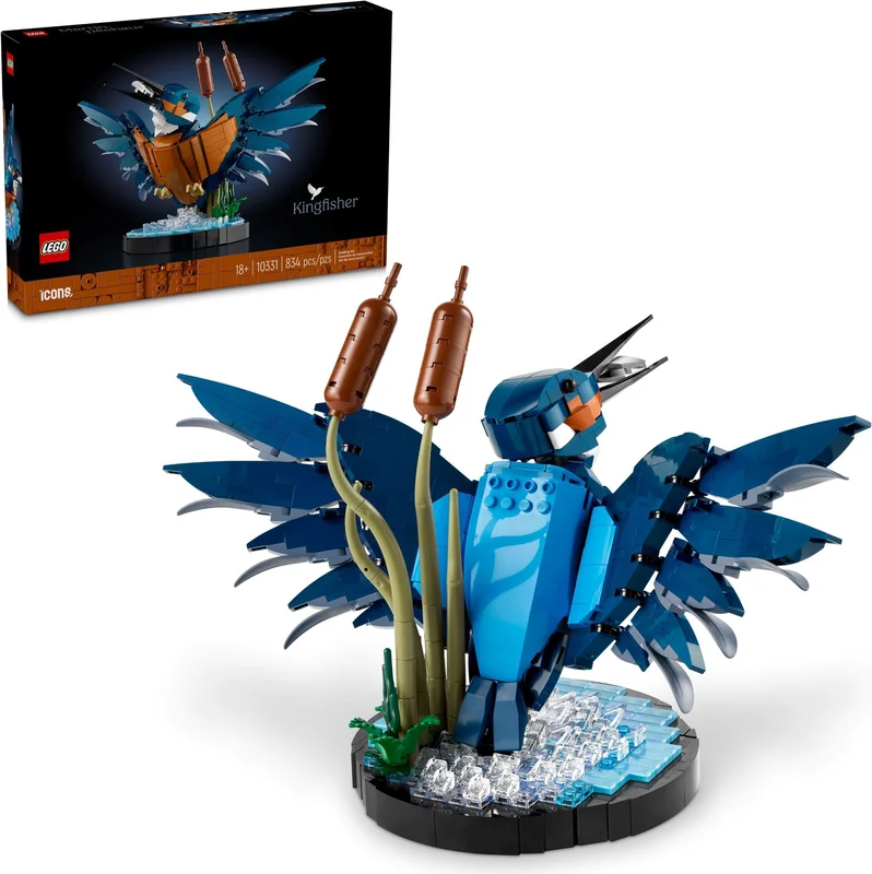 Kingfisher Bird - View 2