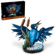 Kingfisher Bird - View 2
