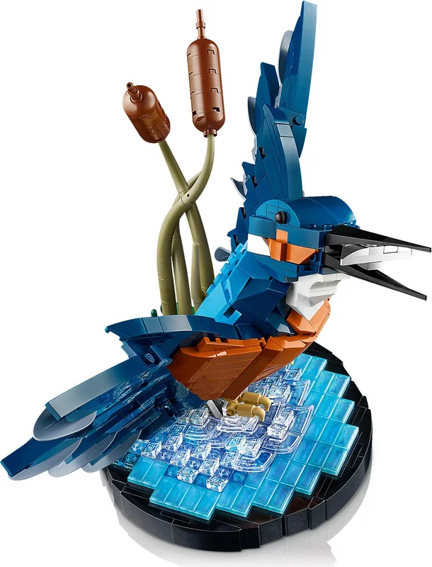 Kingfisher Bird - View 3