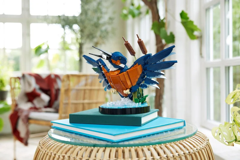 Kingfisher Bird - View 8