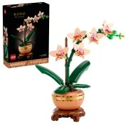 Mini Orchid - View 4