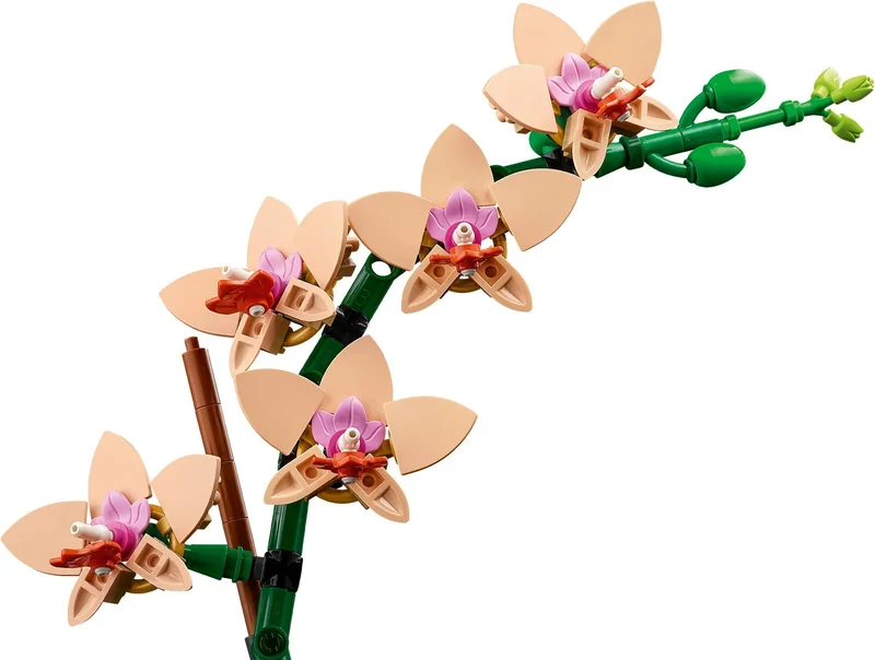 Mini Orchid - View 8