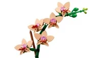Mini Orchid - View 8
