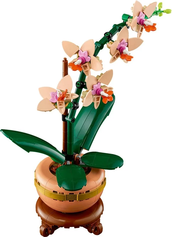 Mini Orchid - View 9