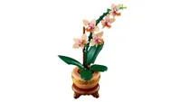 Mini Orchid - View 9