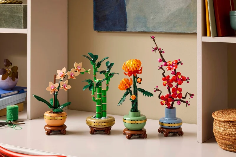 Lucky Bamboo - View 2