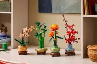 Lucky Bamboo - View 2
