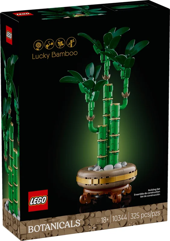 Lucky Bamboo - View 3