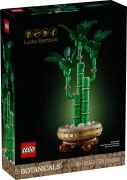 Lucky Bamboo - View 3
