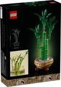 Lucky Bamboo - View 4