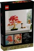 Japanese Red Maple Bonsai Tree - View 2