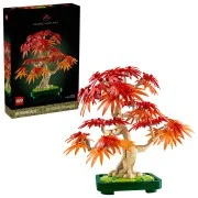 Japanese Red Maple Bonsai Tree - View 3