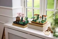 Fountain Garden - View 2