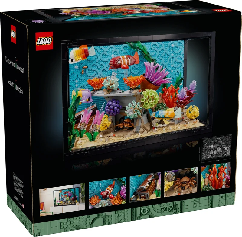 Tropical Aquarium - View 2