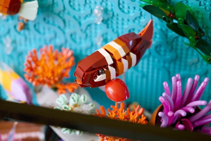 Tropical Aquarium - View 5