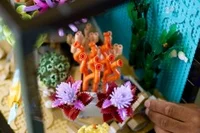 Tropical Aquarium - View 6
