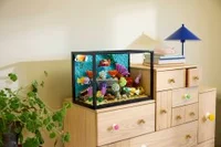 Tropical Aquarium - View 9