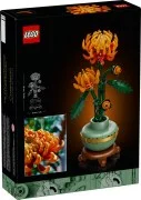 Chrysanthemum - View 3